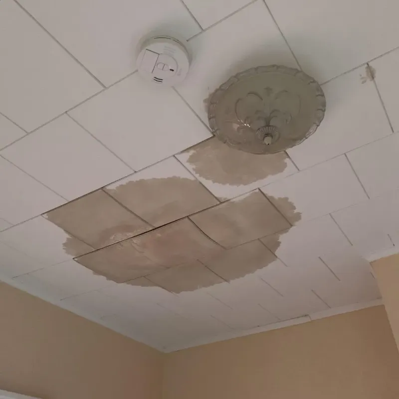 Ceiling Water Damage Repair in Derma, MS