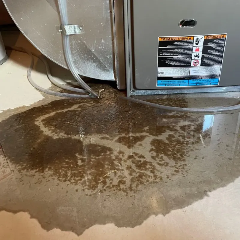 Pipe Burst and Leak Restoration in Derma, MS