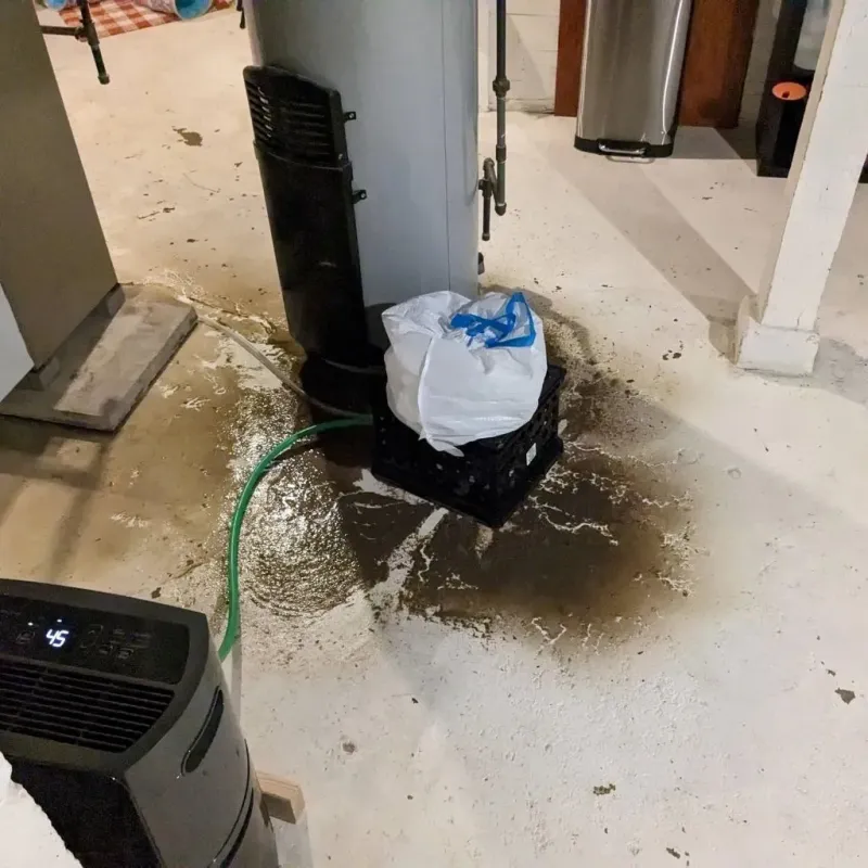 Sewage Backup Cleanup Service in Derma, MS